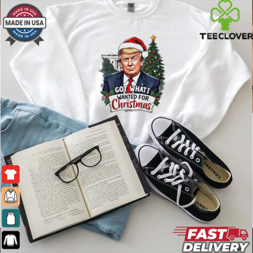 Got what I wanted for Christmas Trump Santa shirt