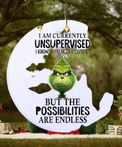 Grinch I am currently unsupervised I know, it freaks me out too but the possibilities are endless Ornament