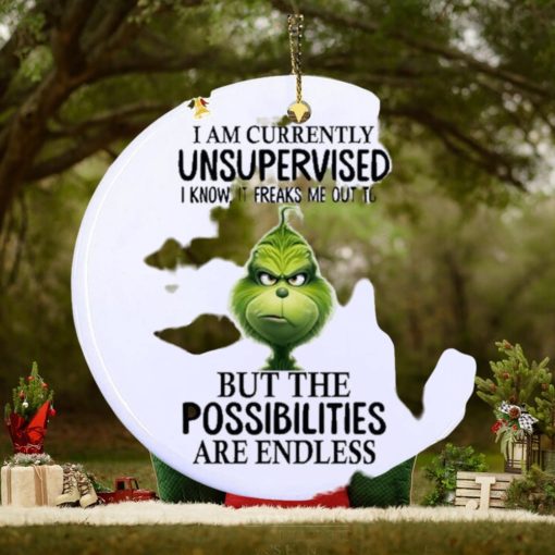 Grinch I am currently unsupervised I know, it freaks me out too but the possibilities are endless Ornament