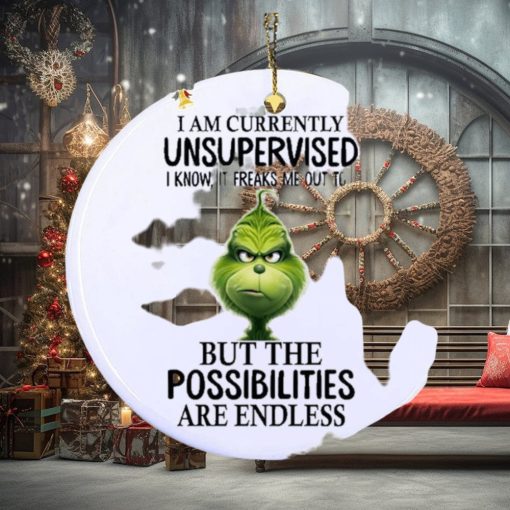 Grinch I am currently unsupervised I know, it freaks me out too but the possibilities are endless Ornament