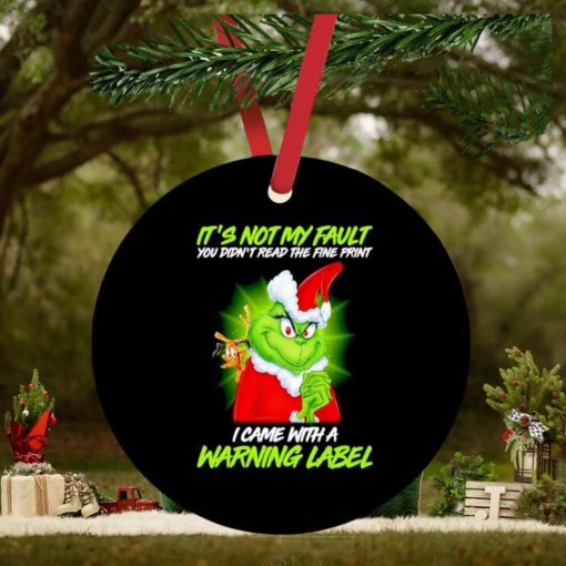 Grinch Santa it’s not my fault you didn’t read the fine print I came with a warning label ornament