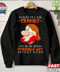 Grumpy sorry if I am cranky I’m in my terrieble 60’s righ now Christmas shirt