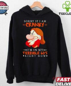 Grumpy sorry if I am cranky I’m in my terrieble 60’s righ now Christmas shirt 2 Grumpy sorry if I am cranky I’m in my terrieble 60’s righ now Christmas shirt