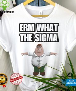 Guy Family erm what the sigma hoodie, sweater, longsleeve, shirt v-neck, t-shirt