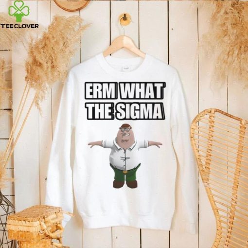 Guy Family erm what the sigma hoodie, sweater, longsleeve, shirt v-neck, t-shirt