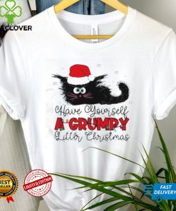 Have Yourself A Grumpy Litter Christmas Funny Christmas Cat Shirt