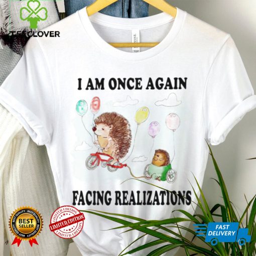 Hedgehog with balloon I am once again facing realizations hoodie, sweater, longsleeve, shirt v-neck, t-shirt