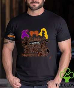 Hocus Pocus Shirt, Sanderson Sisters Shirt, It's Just A Bunch Of Hocus Pocus, Halloween Shirt, Halloween Shirt,Halloween Party Shirt