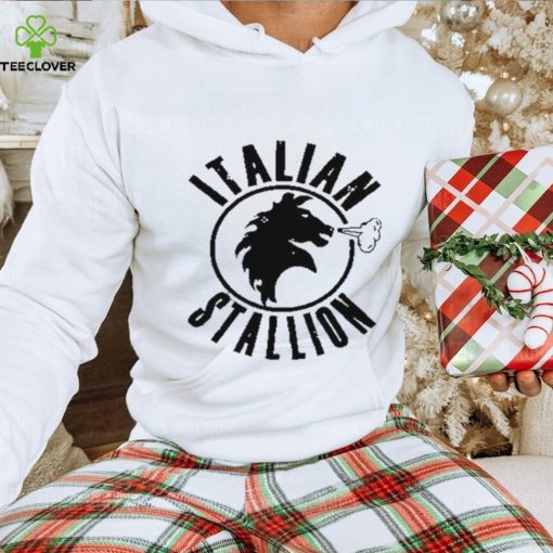 Horse Italian Stallion hoodie, sweater, longsleeve, shirt v-neck, t-shirt