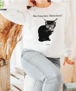 How Long Have I Been Here Kitten Cat Funny Shirt