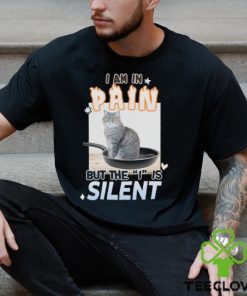 I Am in Pain But the I is Silent Unisex t hoodie, sweater, longsleeve, shirt v-neck, t-shirt