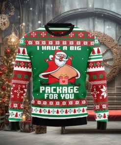 I Have A Big Package For You Ugly Christmas Sweater Gift Men Women