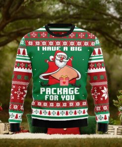 I Have A Big Package For You Ugly Christmas Sweater Gift Men Women
