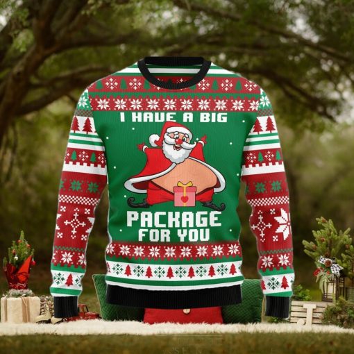 I Have A Big Package For You Ugly Christmas Sweater Gift Men Women