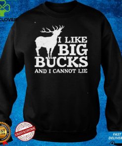 I Like Big Bucks And I Cannot Lie hoodie, sweater, longsleeve, shirt v-neck, t-shirt