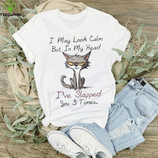 I May Look Calm I've Slapped You 3 Times Thoodie, sweater, longsleeve, shirt v-neck, t-shirt