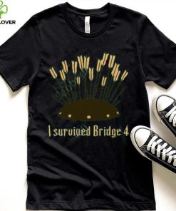 I Survived Bridge 4 And All I Got Was This Soup Tee Shirt