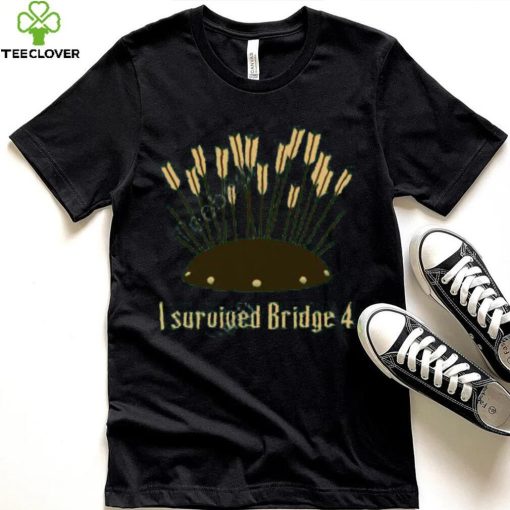 I Survived Bridge 4 And All I Got Was This Soup Tee Shirt