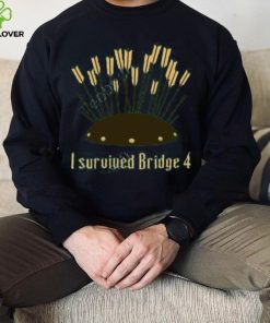 I Survived Bridge 4 And All I Got Was This Soup Tee Shirt