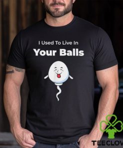 I Used To Live in Your Balls Silly Father’s day T Shirt
