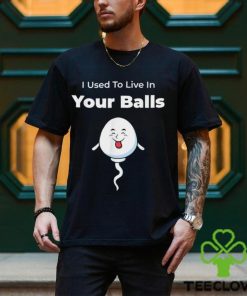 I Used To Live in Your Balls Silly Father’s day T Shirt