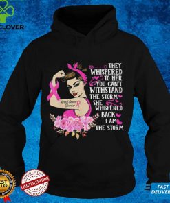 I am the storm Hooded Sweathoodie, sweater, longsleeve, shirt v-neck, t-shirt