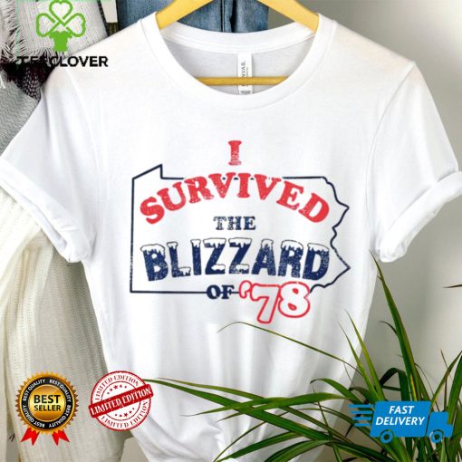 I survived the Blizzard of ’78 Pennsylvania hoodie, sweater, longsleeve, shirt v-neck, t-shirt