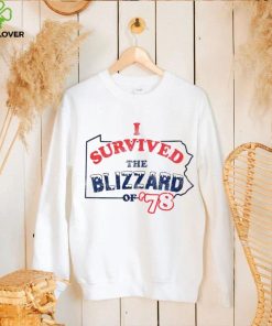 I survived the Blizzard of ’78 Pennsylvania hoodie, sweater, longsleeve, shirt v-neck, t-shirt