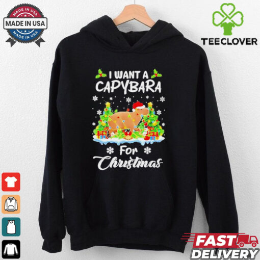 I want a Capybara for Christmas now shirt