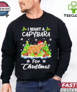 I want a Capybara for Christmas now shirt