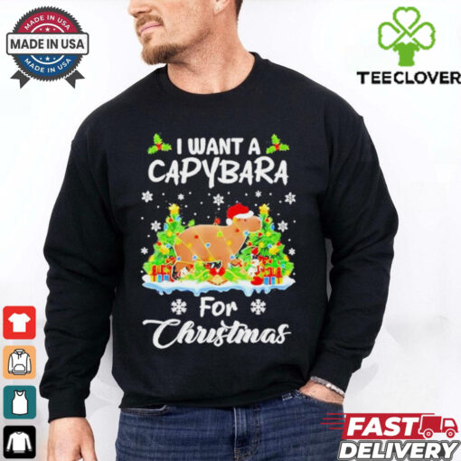 I want a Capybara for Christmas now shirt