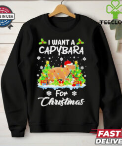 I Want a Capybara for Christmas Now Shirt cute and humorous holiday design featuring a capybara request for Christmas