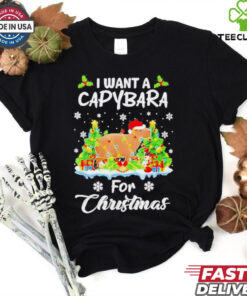 I want a Capybara for Christmas now shirt