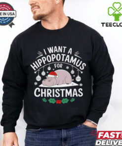 I want a Hippopotamus for Christmas T Shirt