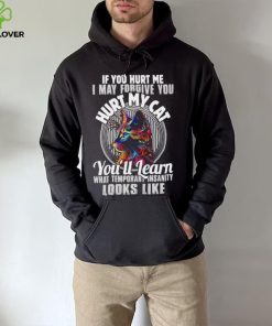 If you hurt me i may forgive you hurt my cat you’ll learn what temporary hoodie, sweater, longsleeve, shirt v-neck, t-shirt