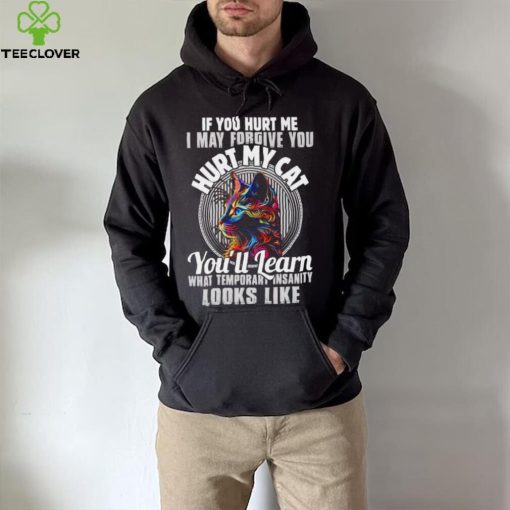 If you hurt me i may forgive you hurt my cat you’ll learn what temporary hoodie, sweater, longsleeve, shirt v-neck, t-shirt