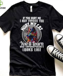 If you hurt me i may forgive you hurt my cat you’ll learn what temporary hoodie, sweater, longsleeve, shirt v-neck, t-shirt