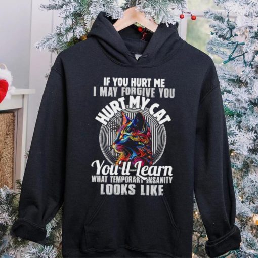 If you hurt me i may forgive you hurt my cat you’ll learn what temporary hoodie, sweater, longsleeve, shirt v-neck, t-shirt