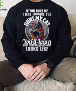 If you hurt me i may forgive you hurt my cat you’ll learn what temporary hoodie, sweater, longsleeve, shirt v-neck, t-shirt