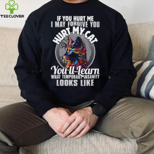 If you hurt me i may forgive you hurt my cat you’ll learn what temporary hoodie, sweater, longsleeve, shirt v-neck, t-shirt