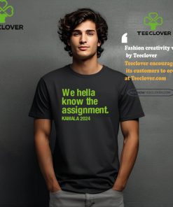 Igsartstudio We Hella Know The Assignment Kamala 2024 Tee shirt
