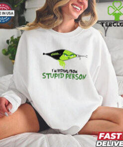 I'm Hiding From Stupid Person Shirt, Grinch Shirt, Christmas Sweatshirt