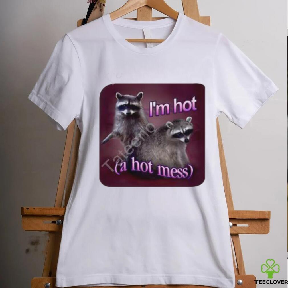 I'm Hot A Hot Mess Raccoon Tee Shirt Snazzy Seagull shirt I'm Hot A Hot Mess Raccoon Tee Shirt Snazzy Seagull shirt