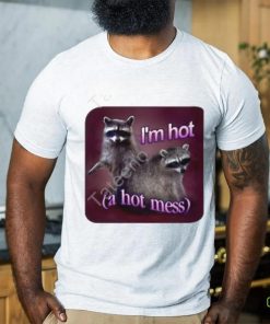 I'm Hot A Hot Mess Raccoon Tee Shirt Snazzy Seagull shirt