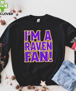 I’m a Raven fan hoodie, sweater, longsleeve, shirt v-neck, t-shirt