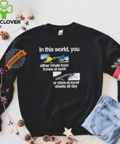 In This World You Either Inhale Toxic Fumes At Work Or Stare At Excel Sheets All Day shirt