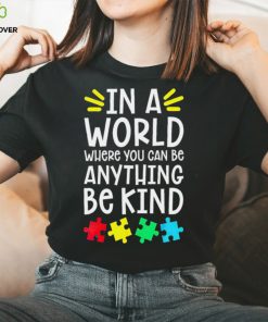 In a world where you can be anything be kind Autism Awareness T hoodie, sweater, longsleeve, shirt v-neck, t-shirt