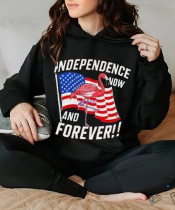 Independence Now And Forever Flamingo 4Th Of July Shirt