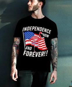 Independence Now And Forever Flamingo 4Th Of July Shirt