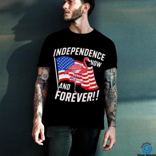 Independence Now And Forever Flamingo 4Th Of July Shirt